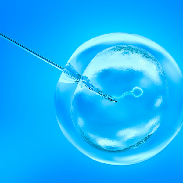 Free Webinar | Preparing for IVF