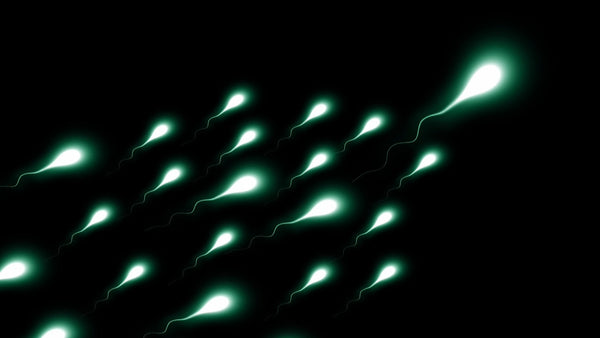 Understanding Male Fertility Tests: Types and Procedures